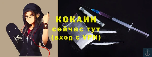 марки lsd Бородино